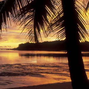 Meet your Posher, Launa